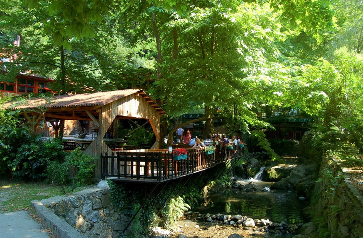 Sapanca and Maşukiye Day Tour from Istanbul