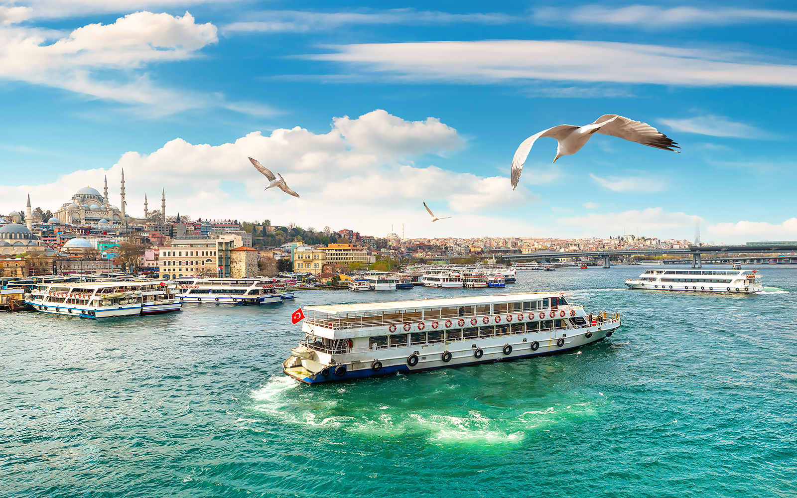Bosphorus Evening Cruise with Dinner and Shows