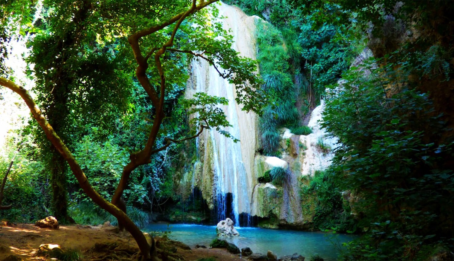 Yalova Thermal and Nature Tour from Istanbul