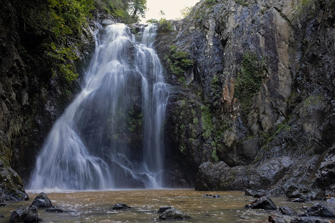 Yalova Thermal and Nature Tour from Istanbul